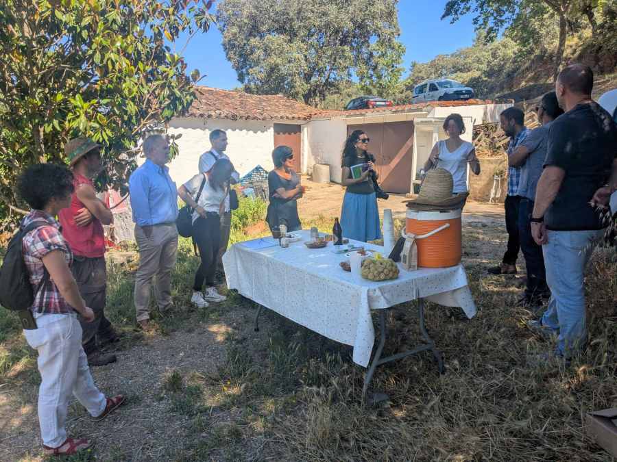 Ir a "Huerta Las Chinas acoge un encuentro del proyecto SierraAlimenta Huelva"
