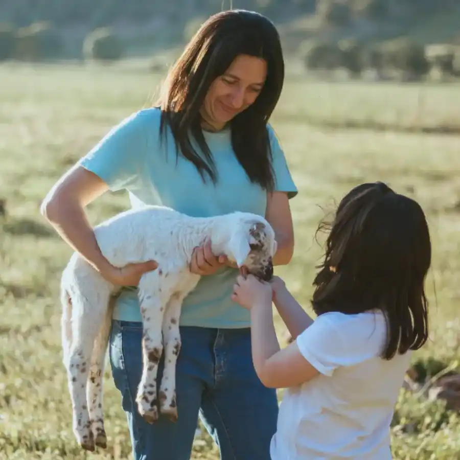 Ir a "Cortijo El Hoyo, innovación y compromiso en la cría de ovino ecológico"