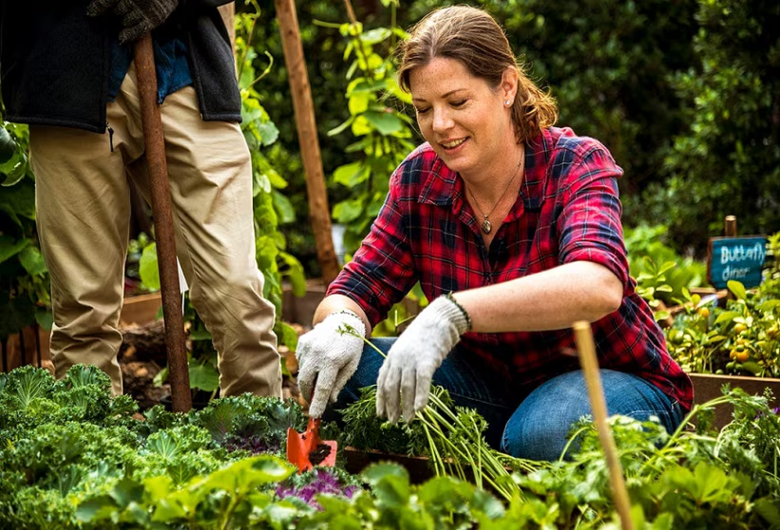 La RedPAC acogerá la jornada «Agroecología y turismo sostenible: Mujeres que siembran futuro»