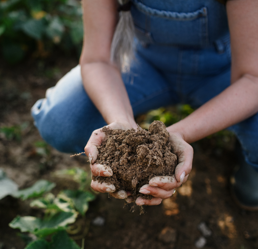 Ir a "Andalucía, primera comunidad en contar con una ley de impulso y promoción de la producción ecológica"