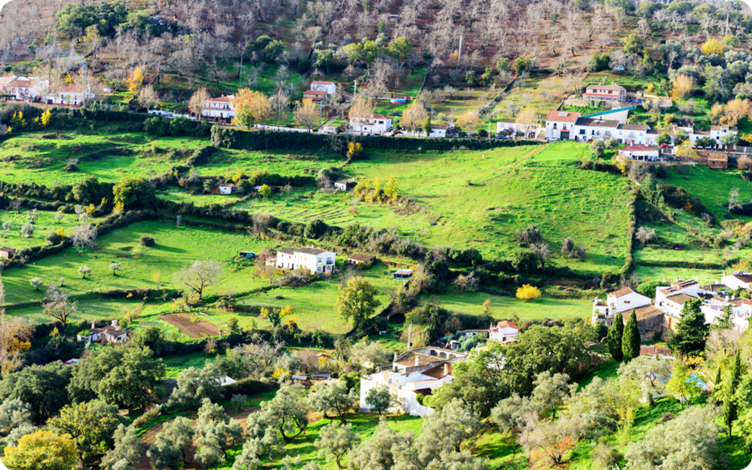 Presentación del proyecto “Gastronomía sostenible en la Sierra de Aracena y Picos de Aroche”