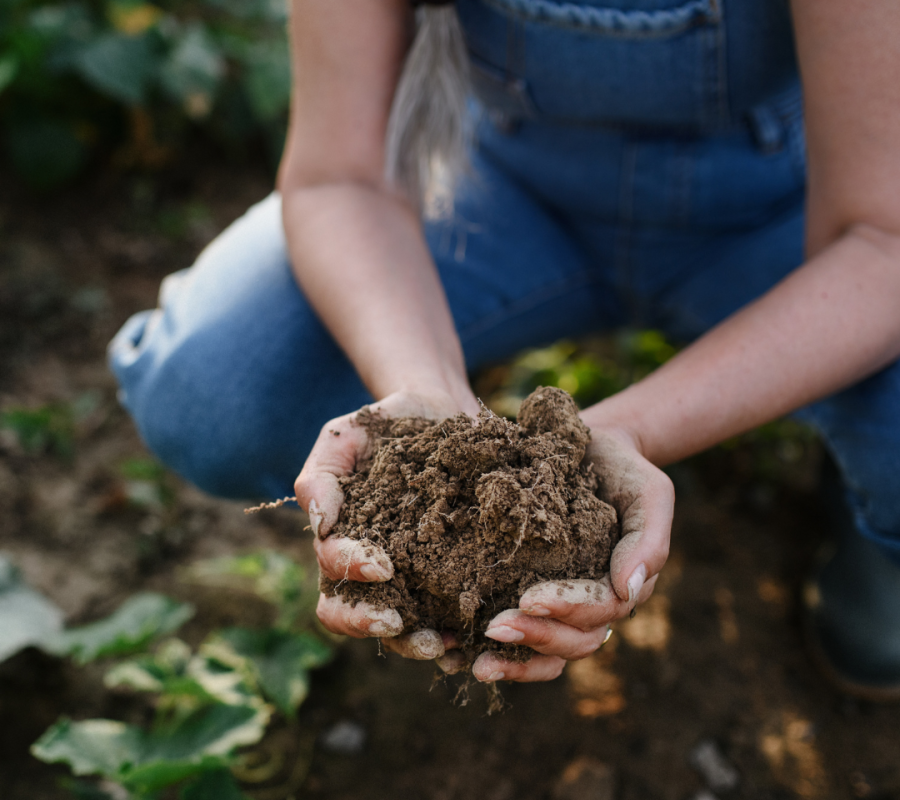 Andalucía, primera comunidad en contar con una ley de impulso y promoción de la producción ecológica